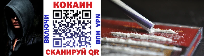 купить закладку  блэк спрут маркетплейс  Cocaine Эквадор  Новозыбков 