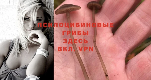 apvp Медногорск