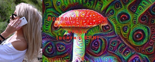 спиды Майский