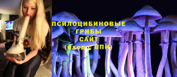 apvp Медногорск