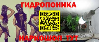 СК Гагарин