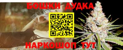 СК Гагарин