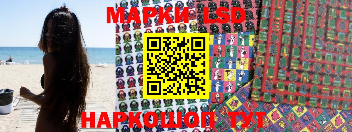 Новозыбков  Наркотические марки  Вход с VPN  Наркотические марки 1,5мг 