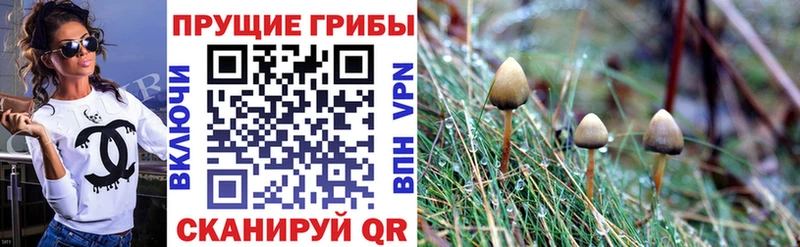 Галлюциногенные грибы мицелий  Новозыбков 