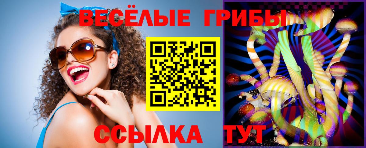 Псилоцибиновые грибы MAGIC MUSHROOMS  Вход с VPN  Новозыбков 