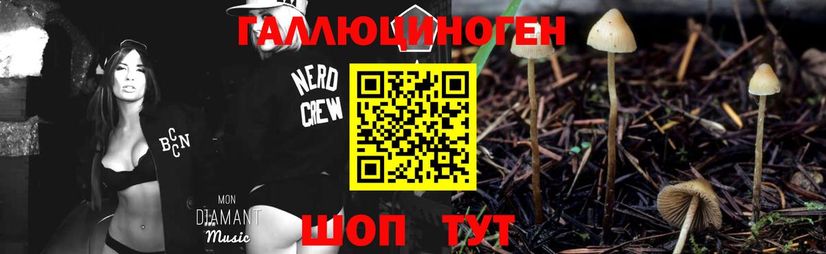 Псилоцибиновые грибы Psilocybine cubensis  как найти закладки  Новозыбков 