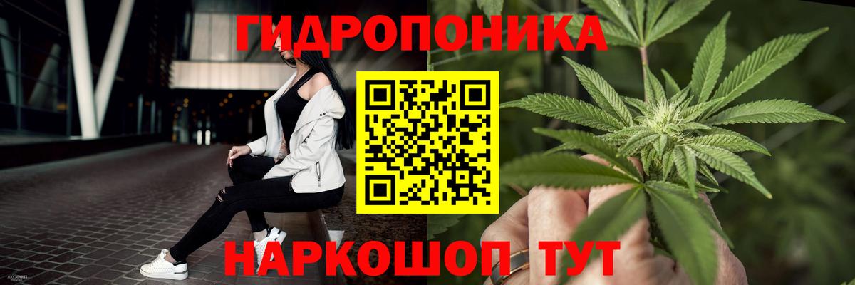 Бошки Шишки OG Kush  Шишки марихуана OG Kush  Новозыбков 